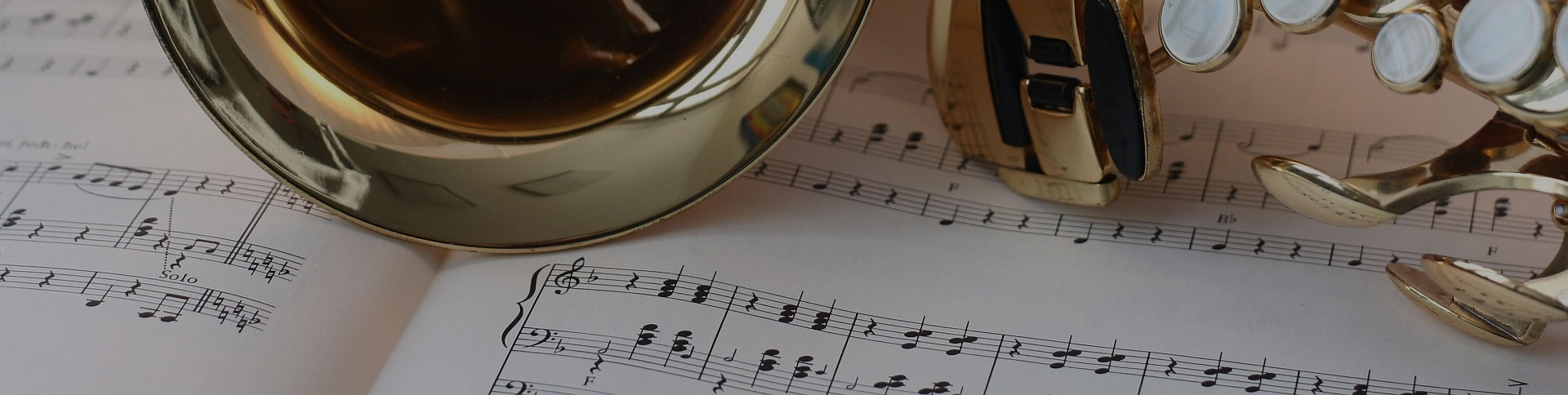 中國(guó)民族管弦樂(lè)學(xué)會(huì)-微信考試證書平臺(tái)|一網(wǎng)天行-網(wǎng)站建設(shè)小程序APP系統(tǒng)軟件開(kāi)發(fā)公司