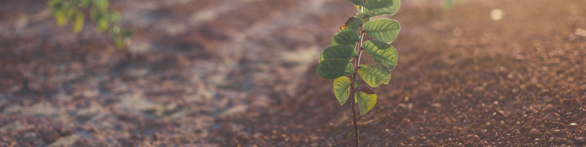 微源生物企業(yè)宣傳網(wǎng)站|一網(wǎng)天行-網(wǎng)站建設(shè)小程序APP系統(tǒng)軟件開(kāi)發(fā)公司