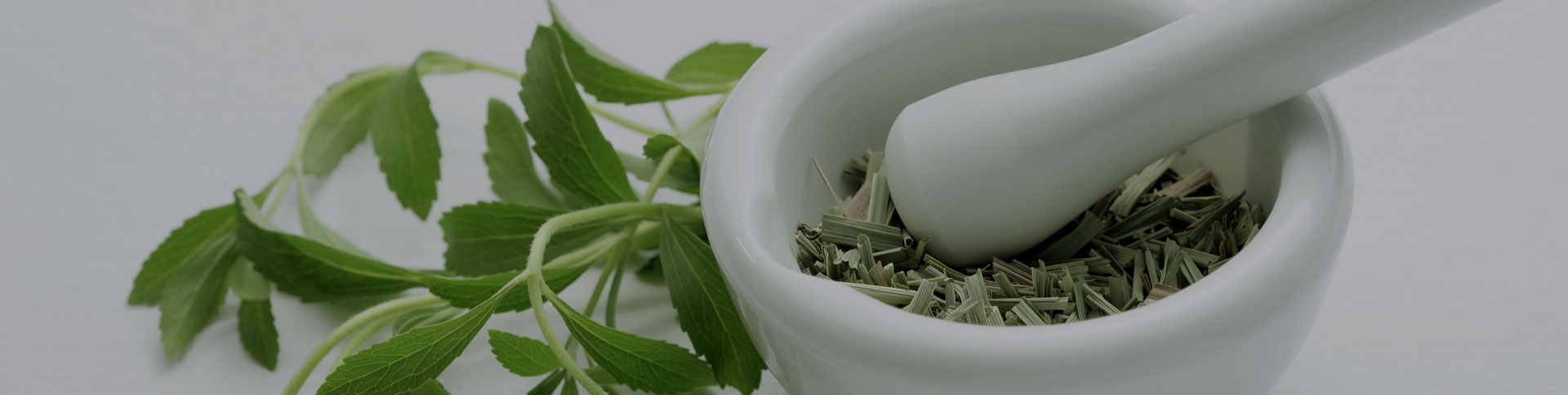 種藥吧-中藥供需信息發(fā)布平臺|一網(wǎng)天行-網(wǎng)站建設(shè)小程序APP系統(tǒng)軟件開發(fā)公司