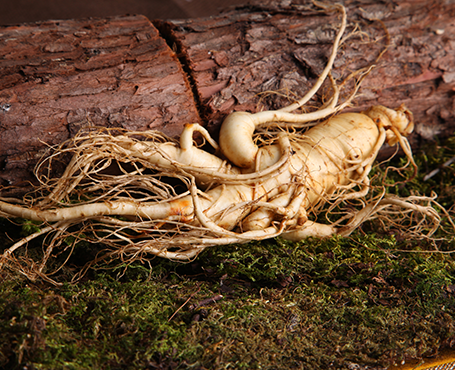 正德藥業(yè)-品牌營(yíng)銷網(wǎng)站|一網(wǎng)天行-網(wǎng)站建設(shè)小程序APP系統(tǒng)軟件開(kāi)發(fā)公司