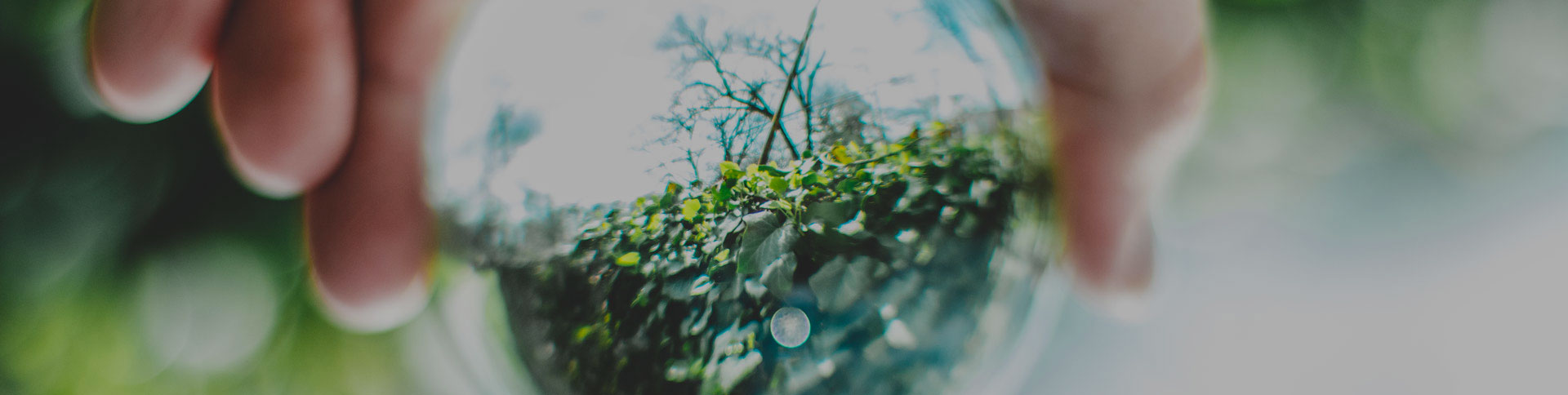 中關村節(jié)能環(huán)保專委會網站|一網天行-網站建設小程序APP系統軟件開發(fā)公司