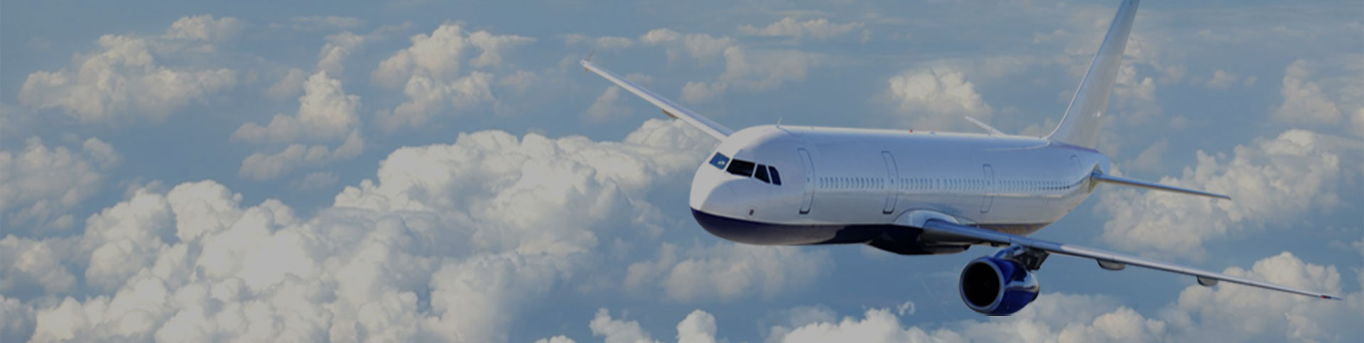 鳳天乘云企業(yè)宣傳網站|一網天行-網站建設小程序APP系統(tǒng)軟件開發(fā)公司