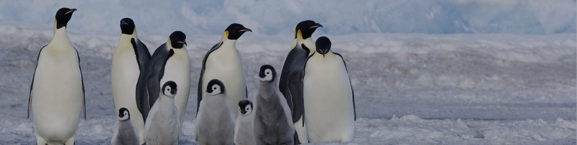 海信日立-微信工單報修服務號平臺|一網(wǎng)天行-網(wǎng)站建設小程序APP系統(tǒng)軟件開發(fā)公司